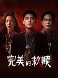 完美的救赎海报