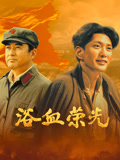 浴血荣光海报